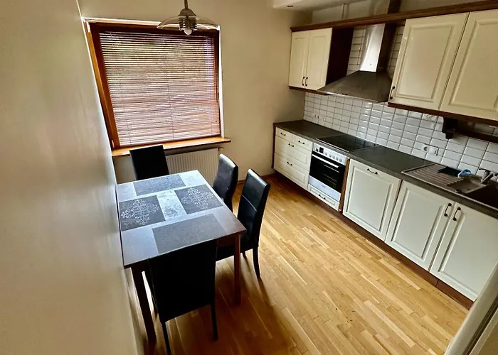 Vingis Park With 2 Bedrooms & Free Parking 维尔纽斯