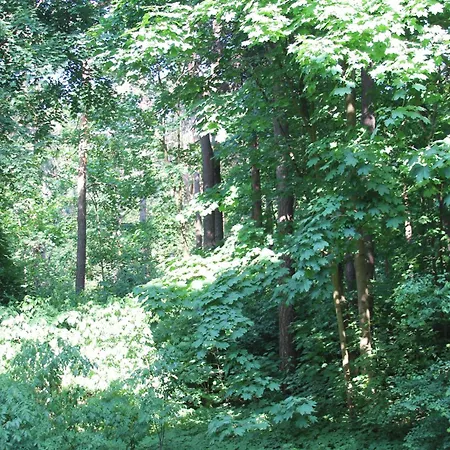 Vingis Park With 2 Bedrooms & Free Parking Apartment Wilna