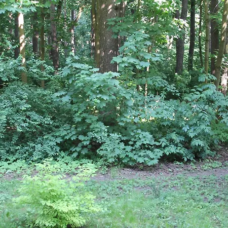 Vingis Park With 2 Bedrooms & Free Parking Appartement *