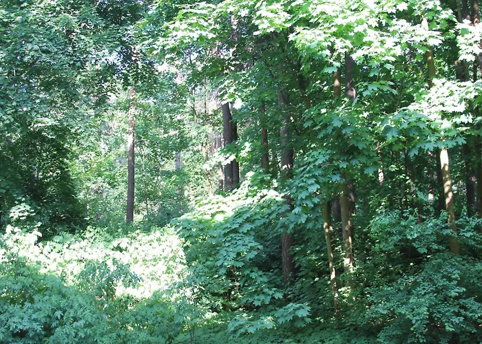 Vingis Park With 2 Bedrooms & Free Parking Appartement Vilnius