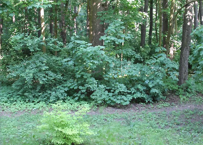 Vingis Park With 2 Bedrooms & Free Parking Appartement *